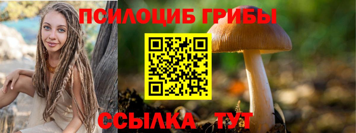 Сафоново  Псилоцибиновые грибы ЛСД  Вход с VPN 
